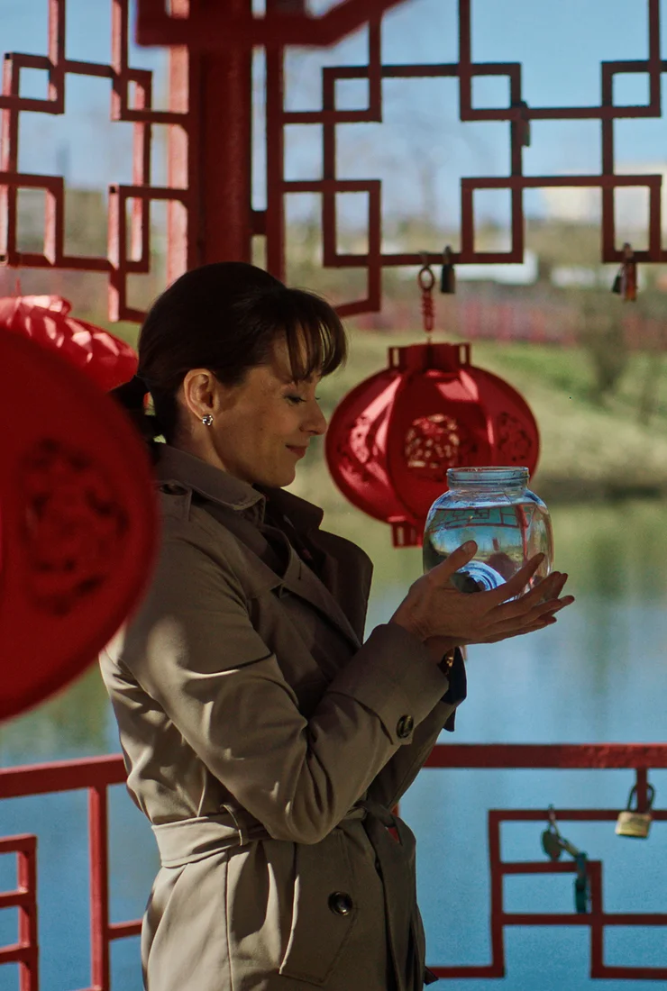 Денежное дерево (2025)